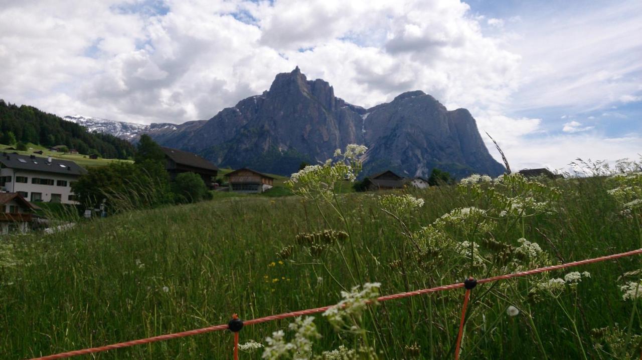 Landhaus Bachler Brixen im Thale Exterior foto