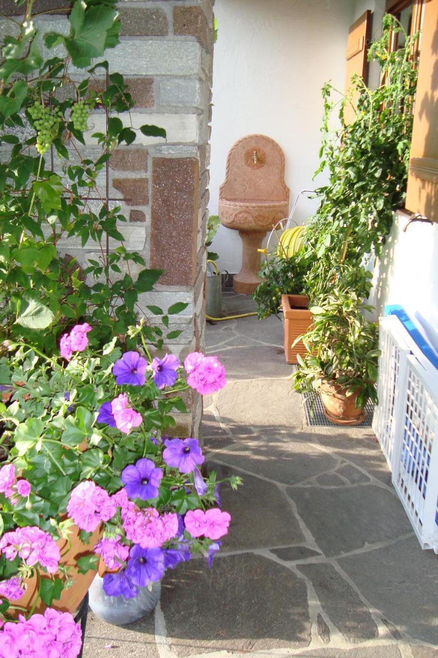 Landhaus Bachler Brixen im Thale Exterior foto